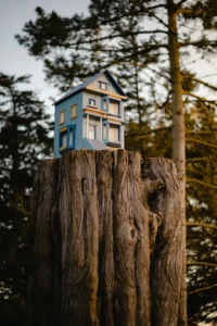 tiny house arbre