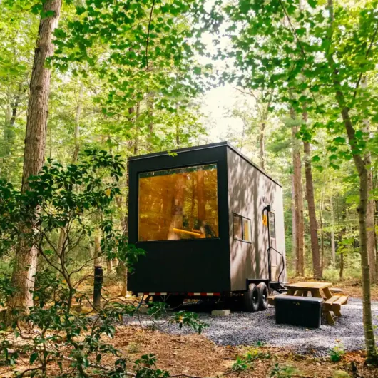 tiny house forest