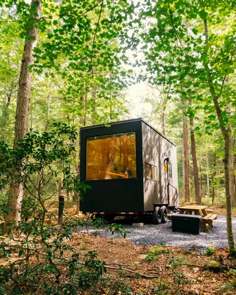 tiny house forest